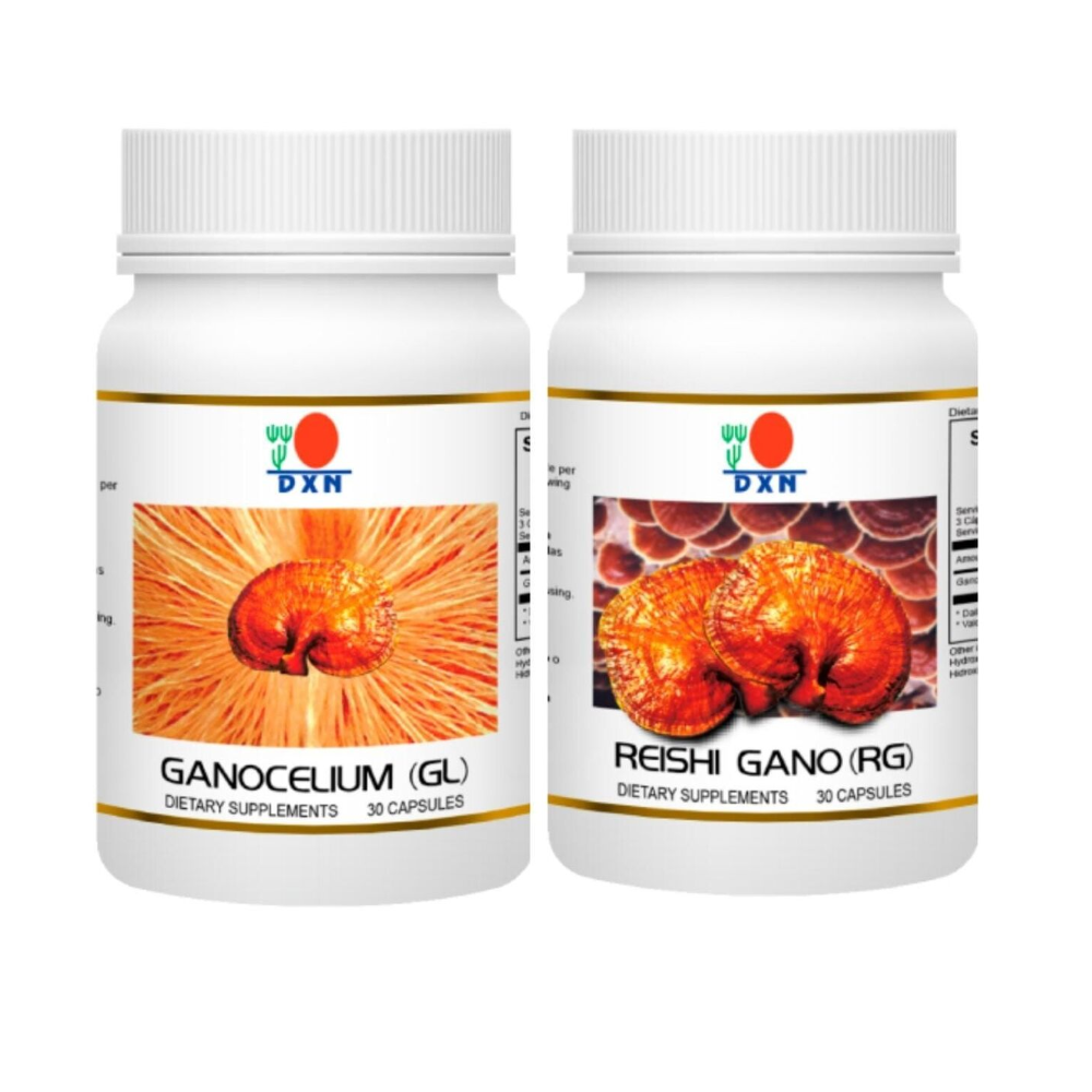 Reishi Gano y Ganocelium RG y GL 30