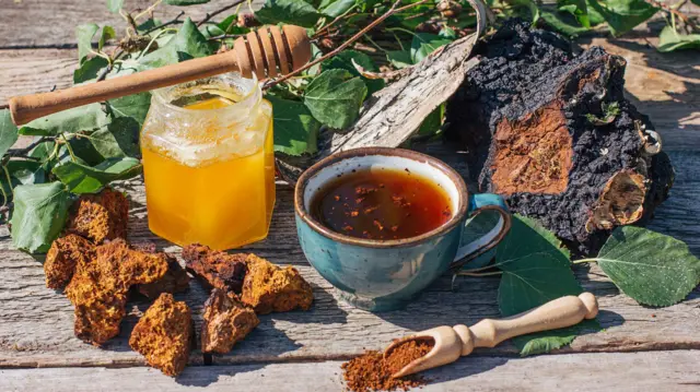 Suplementos alimenticios con Ganoderma