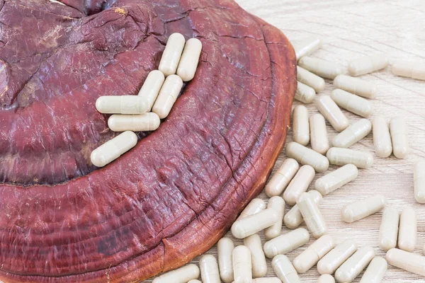 Capsulas de Ganoderma