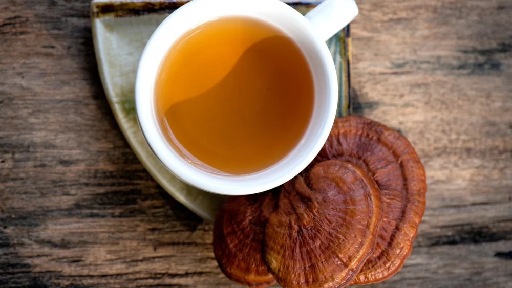 Té con Ganoderma